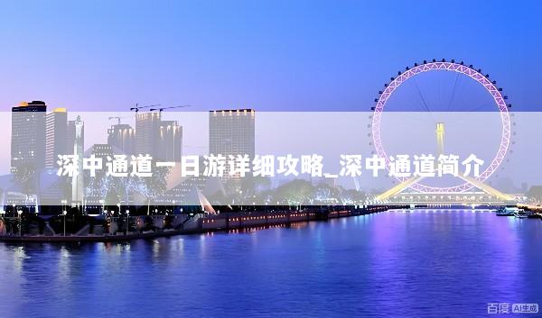 深中通道一日游详细攻略_深中通道简介