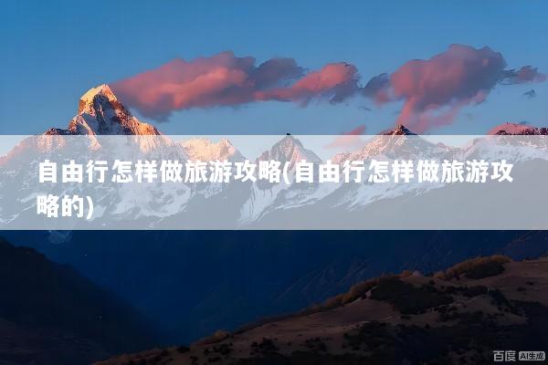 自由行怎样做旅游攻略(自由行怎样做旅游攻略的)