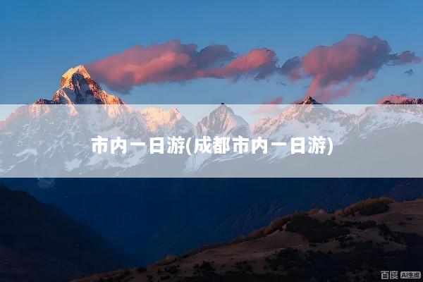 市内一日游(成都市内一日游)