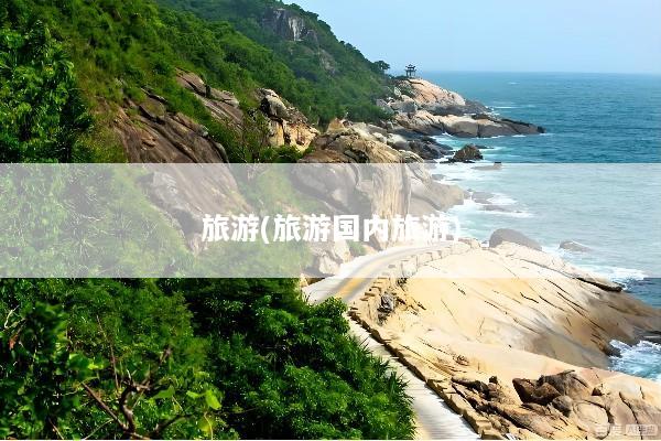 旅游(旅游国内旅游)